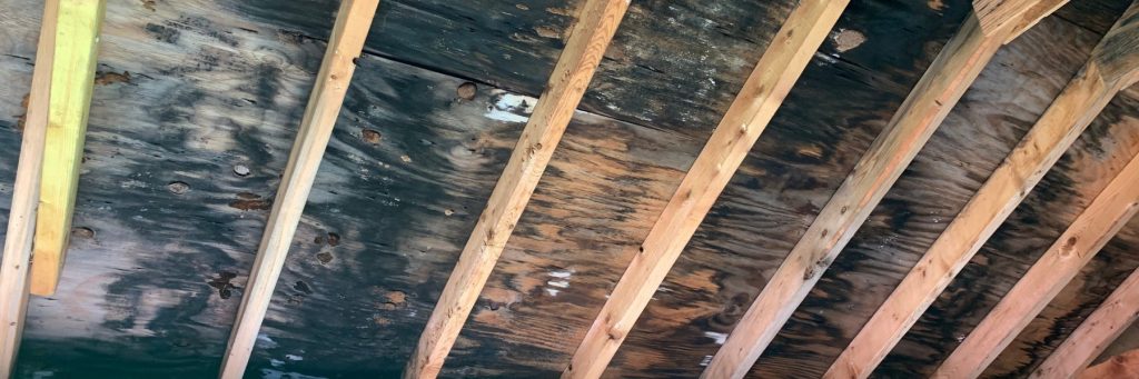 Minus Mold LLC