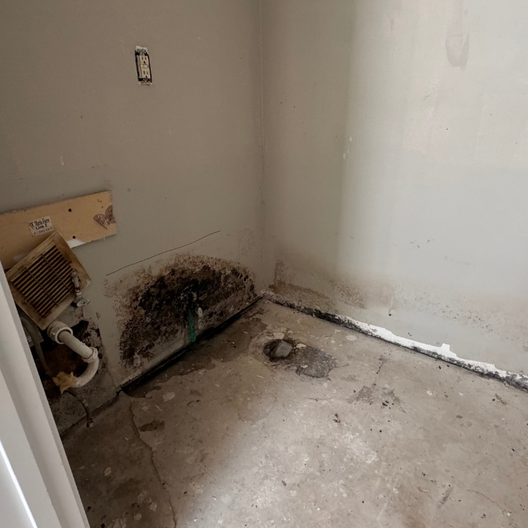 Minus Mold LLC