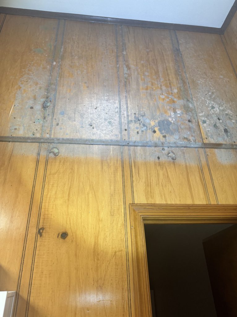 Mold Remediation in Williamsburg, VA